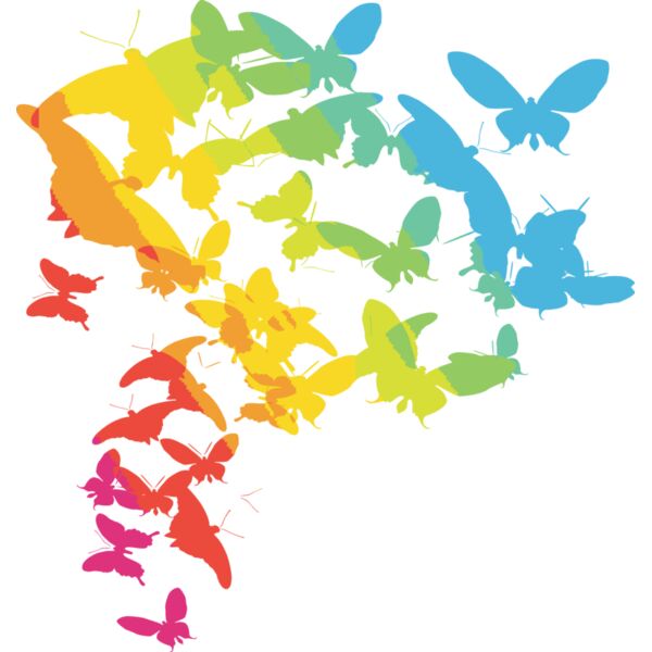 Colourful butterflies Thumbnail